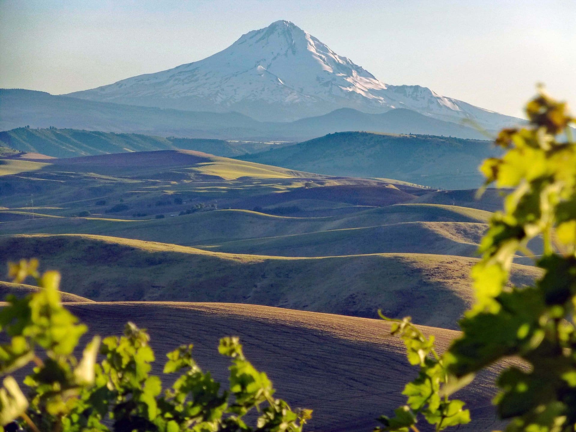 columbia valley wine country oregon dream big vista vineyard