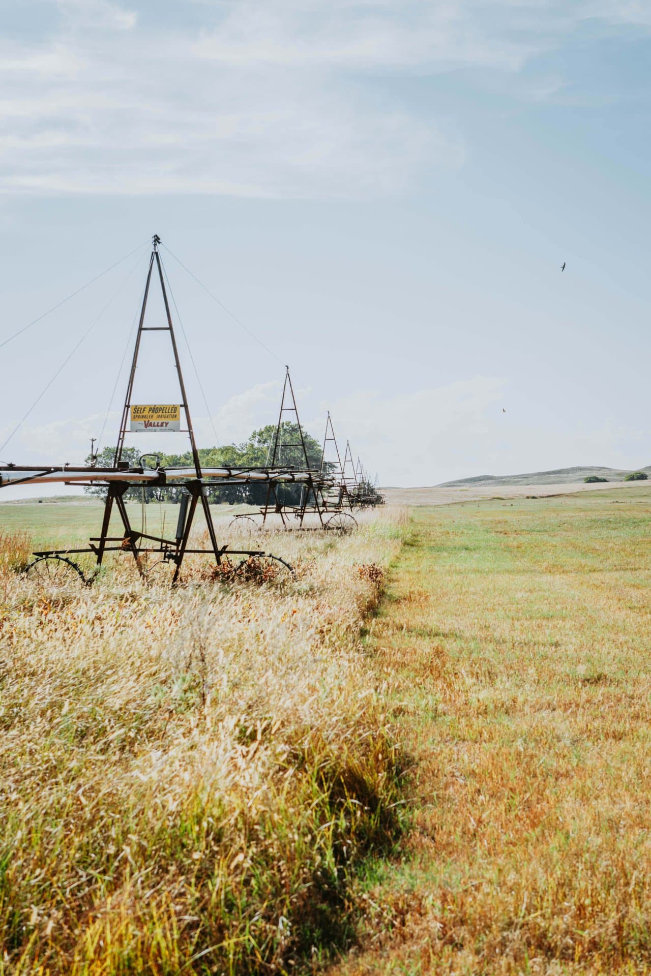 land for sale in nebraska nebraska the dillon ranch