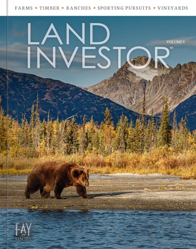 Land Investor Cover Vol 9