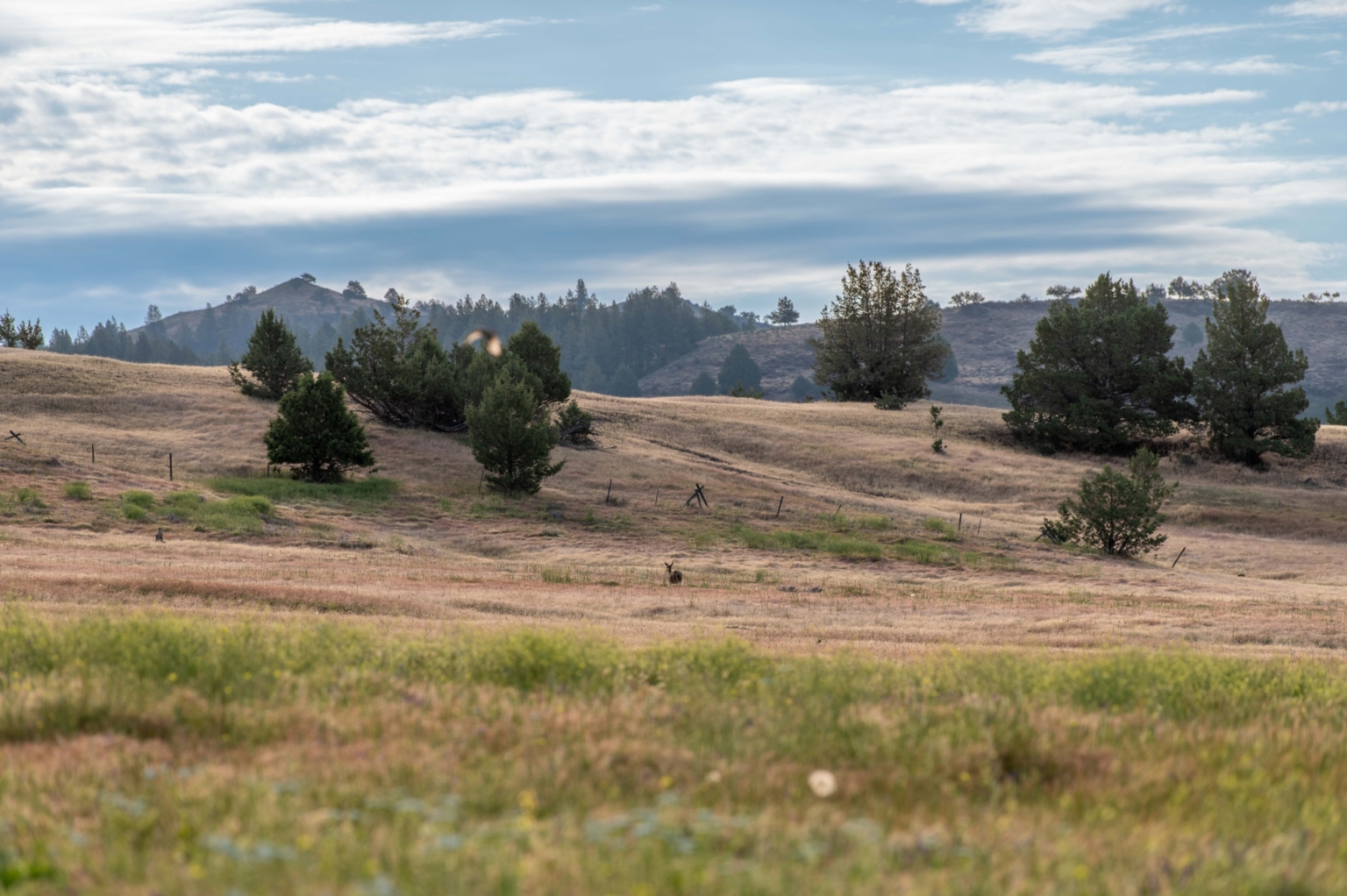 Ritter on the River Ritter Oregon Fay Ranches