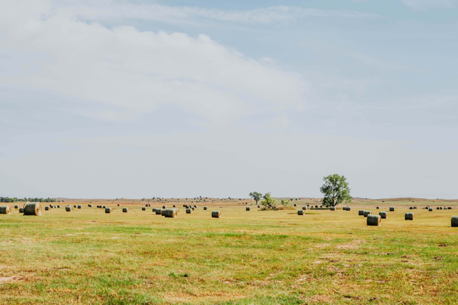 The Dillon Ranch Ainsworth Nebraska Fay Ranches