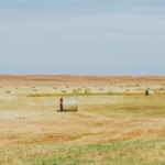 nebraska ranches for sale the dillon ranch