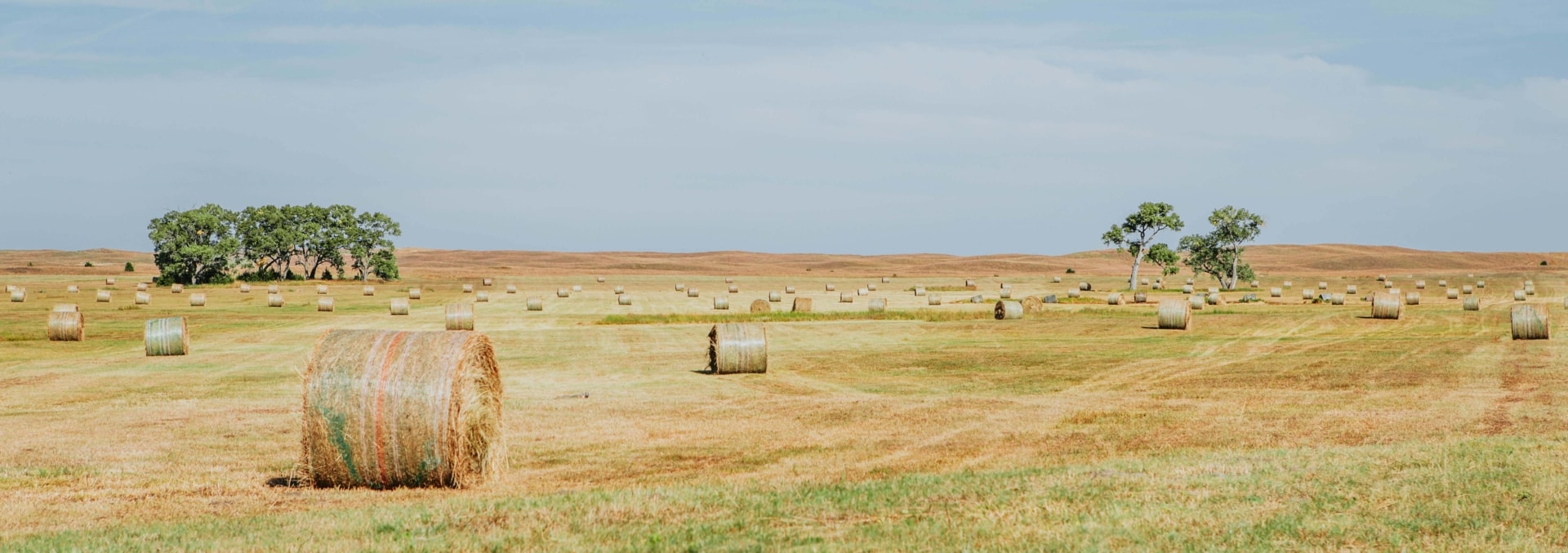 nebraska ranches for sale the dillon ranch