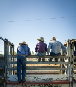social-capital-in-the-rural-west-featured image of cowboys sitting atop a fence