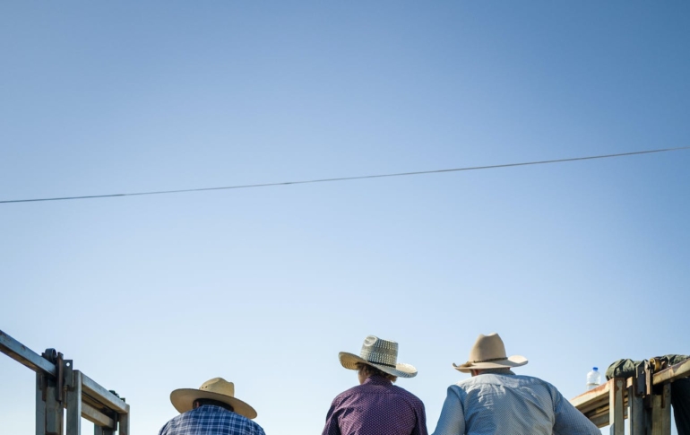 social-capital-in-the-rural-west-featured image of cowboys sitting atop a fence