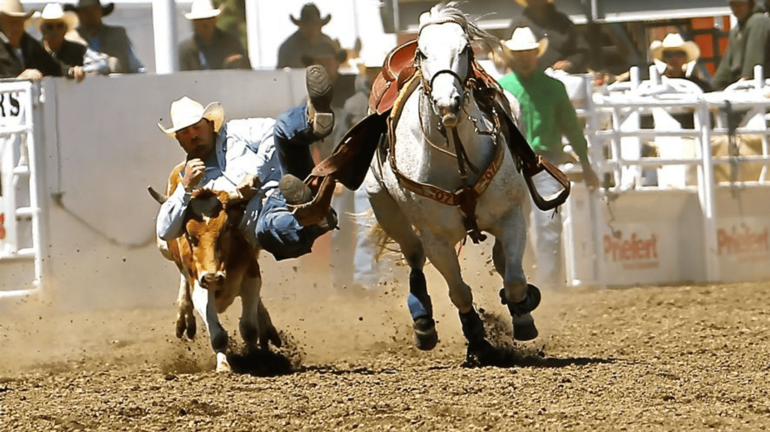 alex rodeo