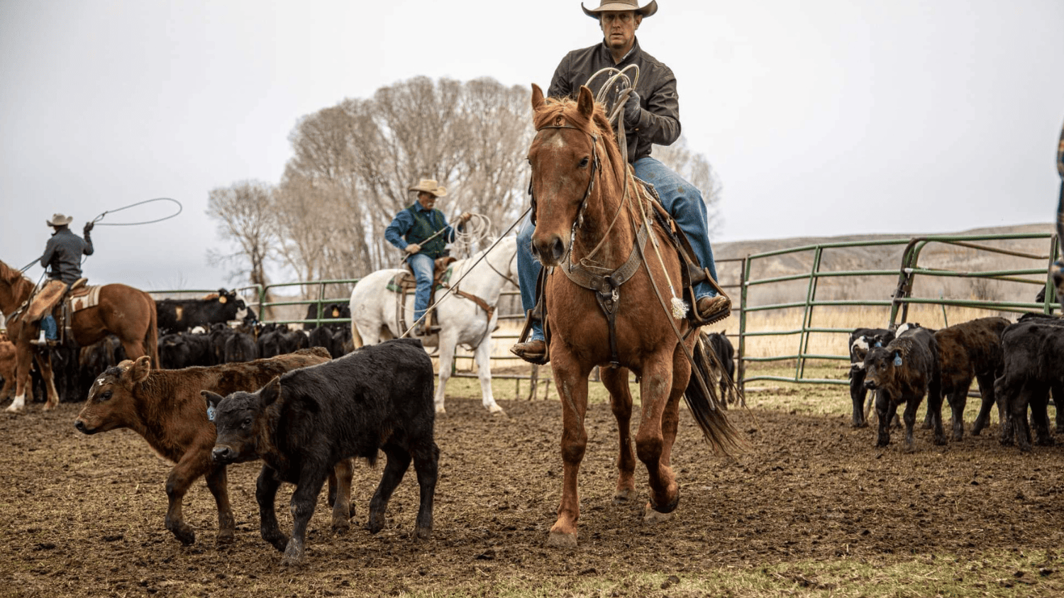 jw roping