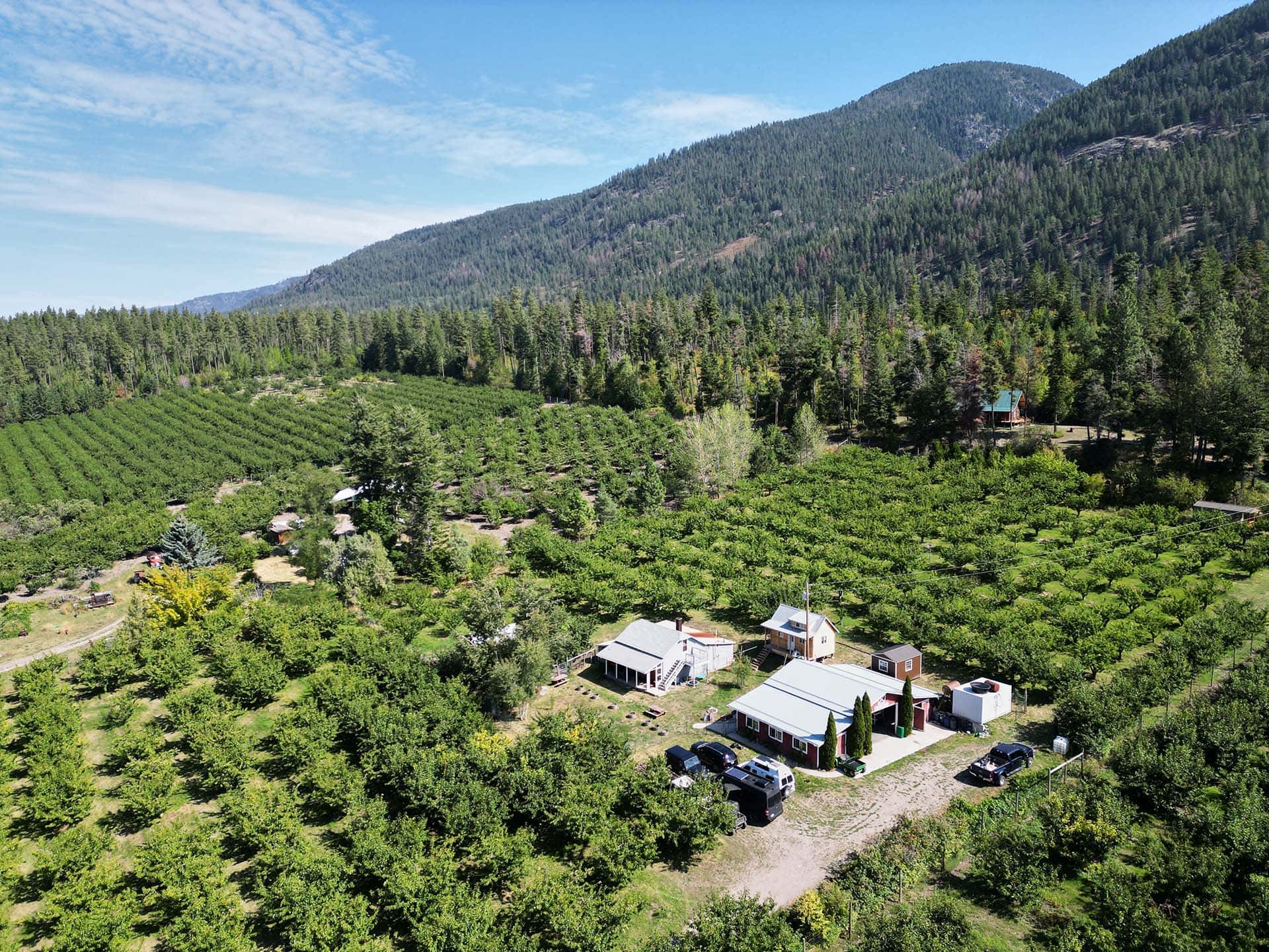 aerial view montana ramrock orchard
