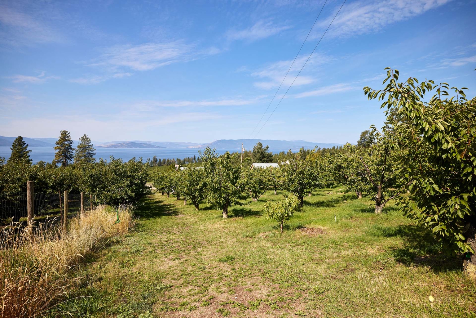 Ramrock Orchard Polson Montana Fay Ranches