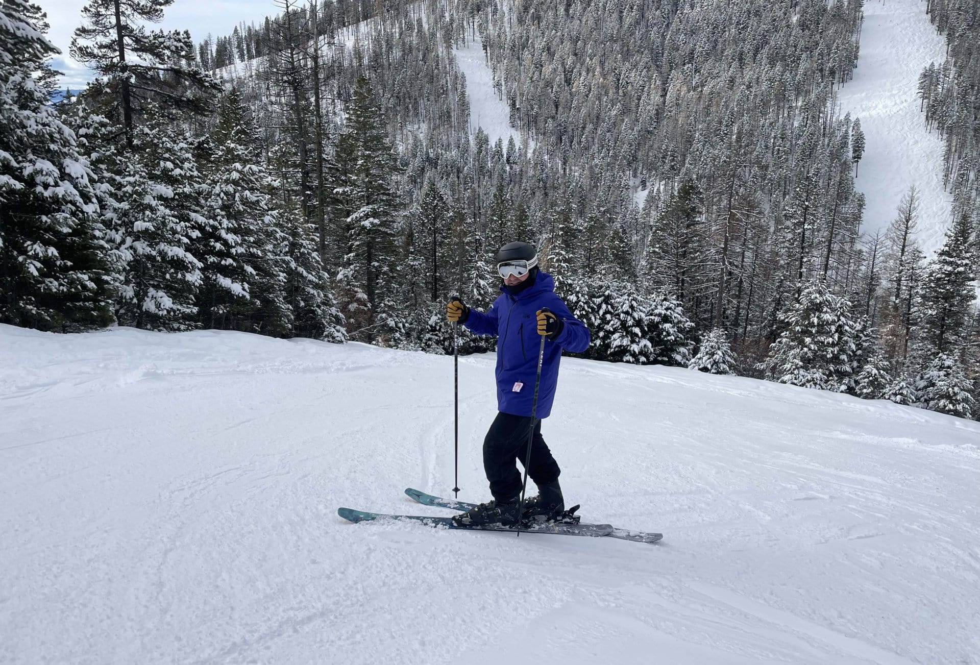 chris alvino managing director skiing