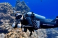 cooper lammonds diving coral reef sc land broker sales person