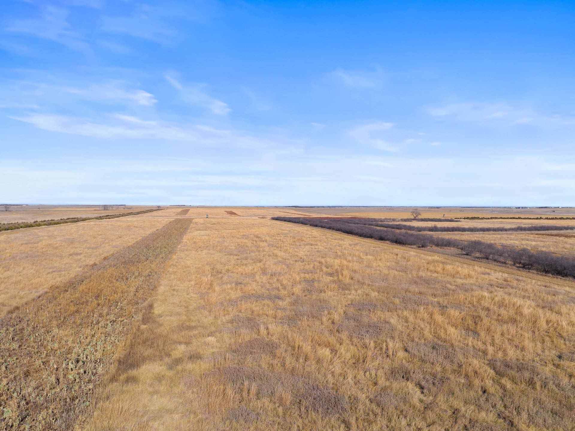 crp grass habitat south dakota the ultimate pheasant hunt