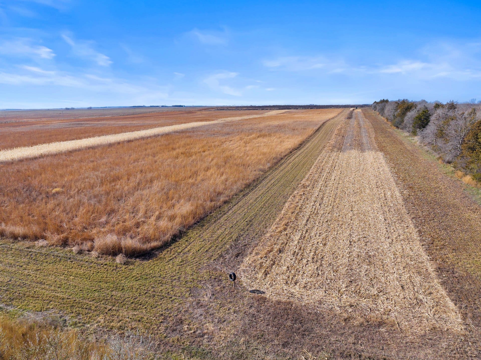 grass crp habitat south dakota the ultimate pheasant hunt