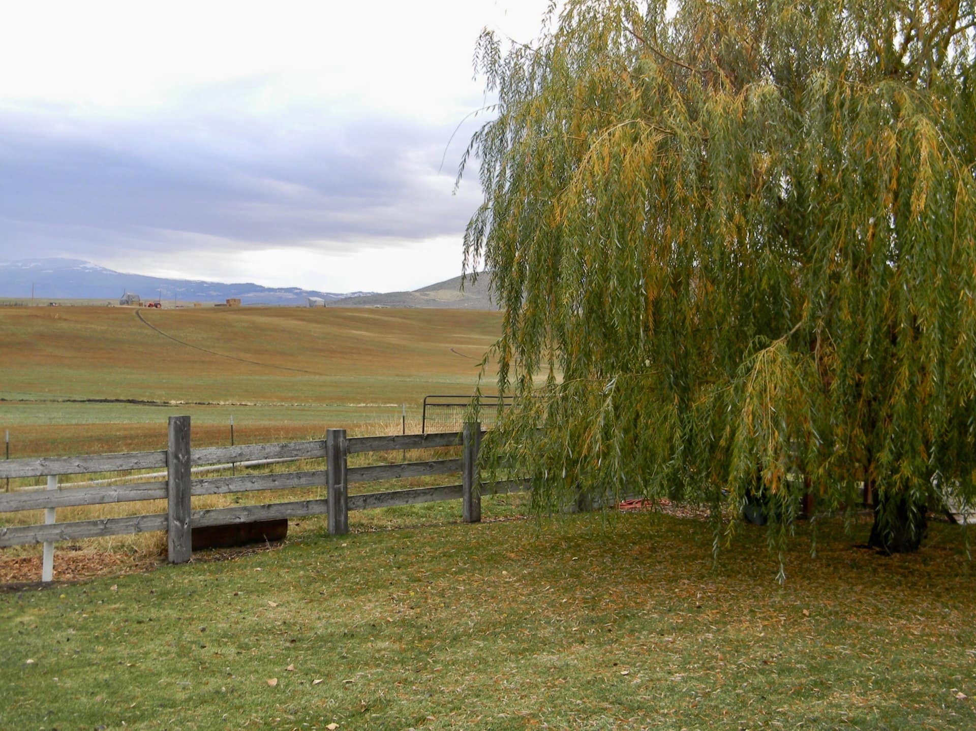 irrigated field Idaho granger butte ranch