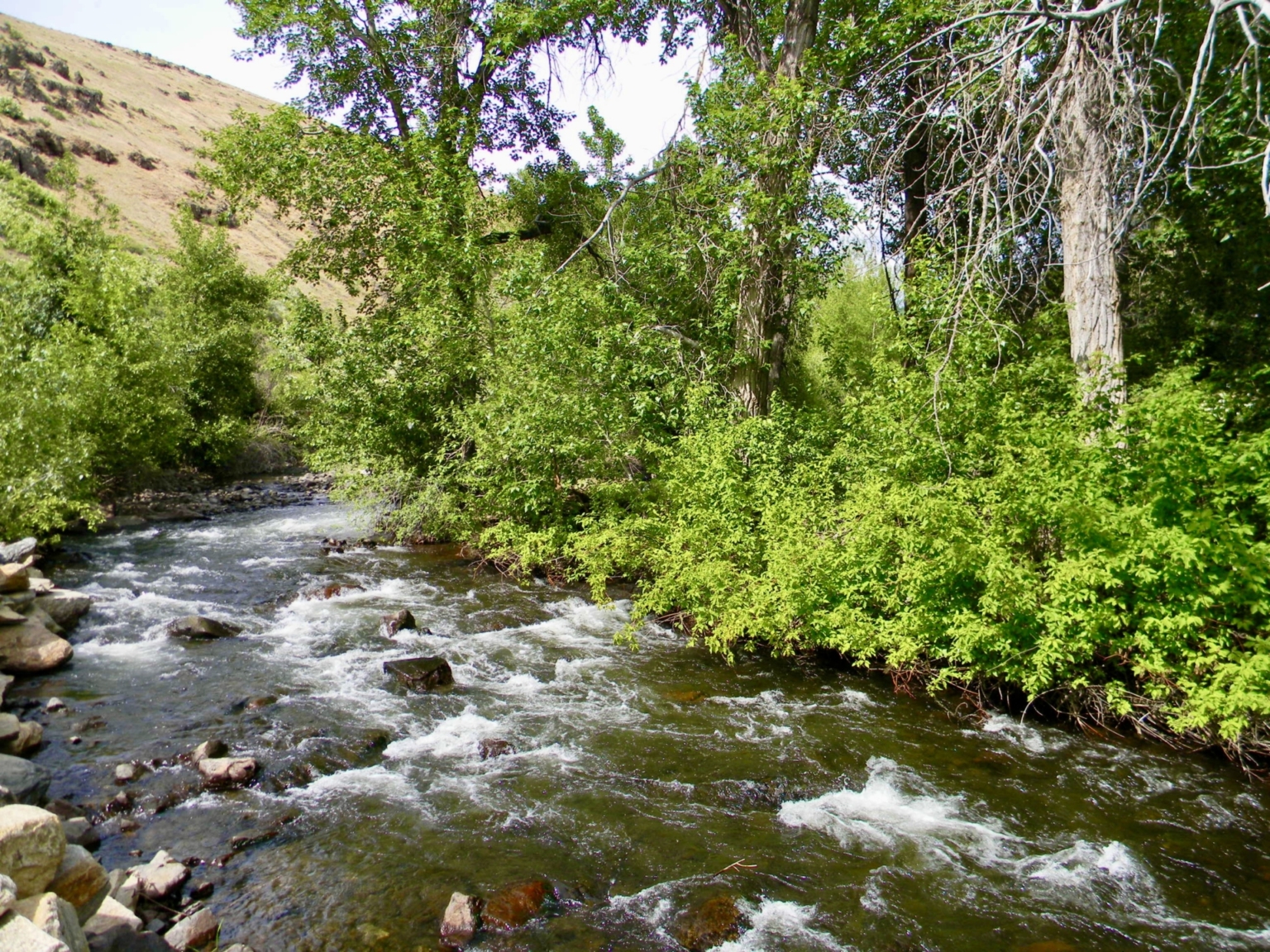 Granger Butte Ranch Indian Valley Idaho Fay Ranches