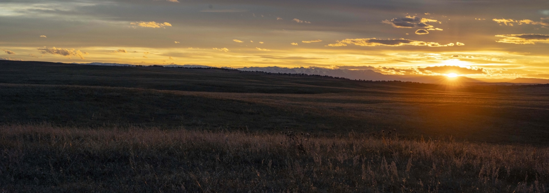 montana cattle ranches for sale struck creek ranch