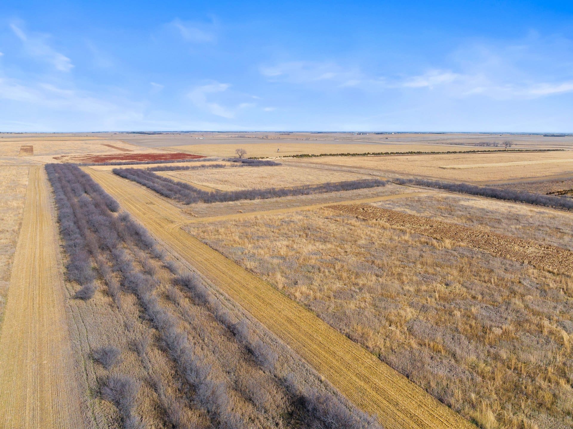 premier habitat south dakota the ultimate pheasant hunt