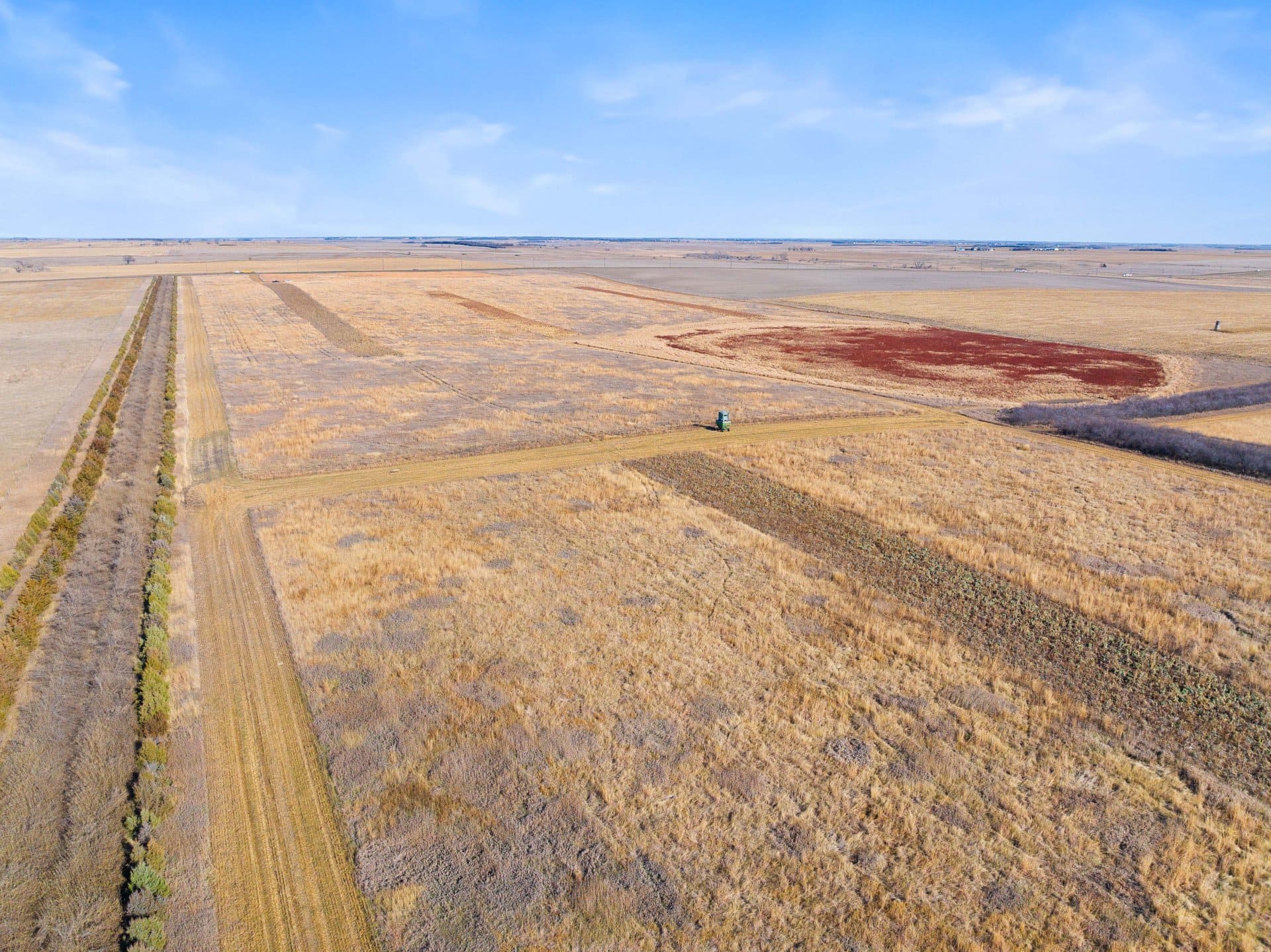 south dakota habitat the ultimate pheasant hunt