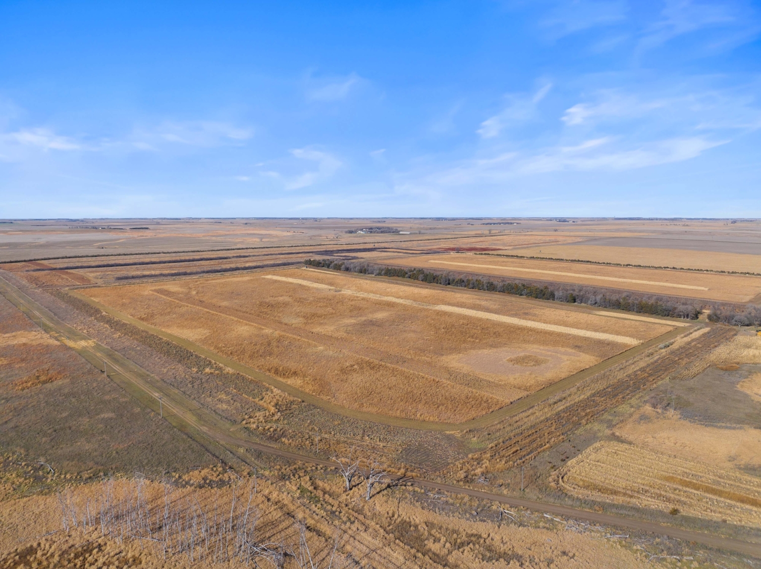 The Ultimate Pheasant Hunt | Lake Andes South Dakota | Fay Ranches