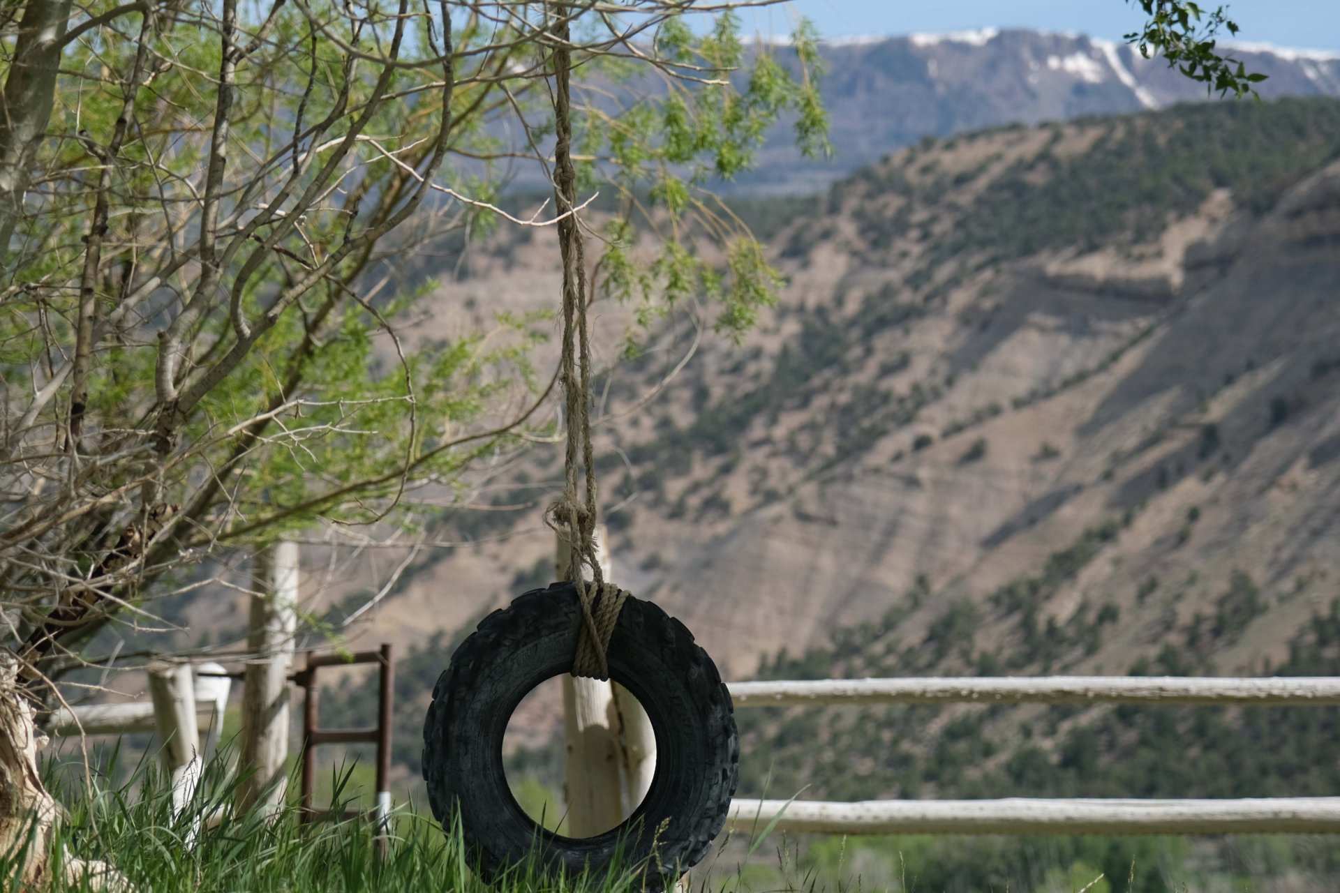 tire swing colorado sweetwater ranch