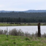 oregon ranches for sale four j ranch