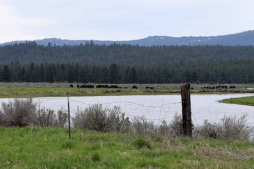 oregon ranches for sale four j ranch