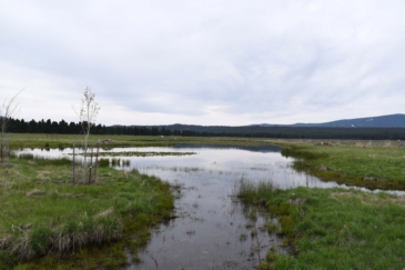 waterfowl hunting land for sale oregon four j ranch