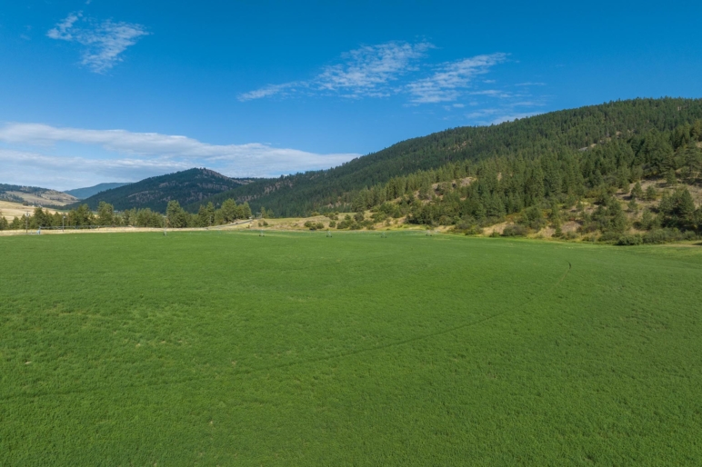Cedonia Hills Farm | Hunters Washington | Fay Ranches