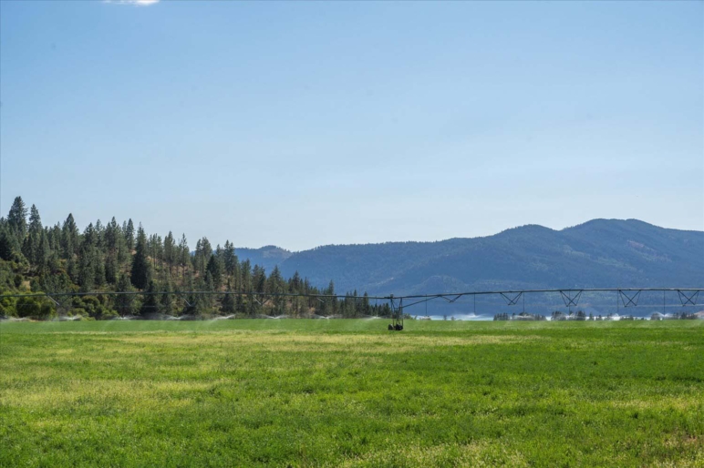 Cedonia Hills Farm | Hunters Washington | Fay Ranches