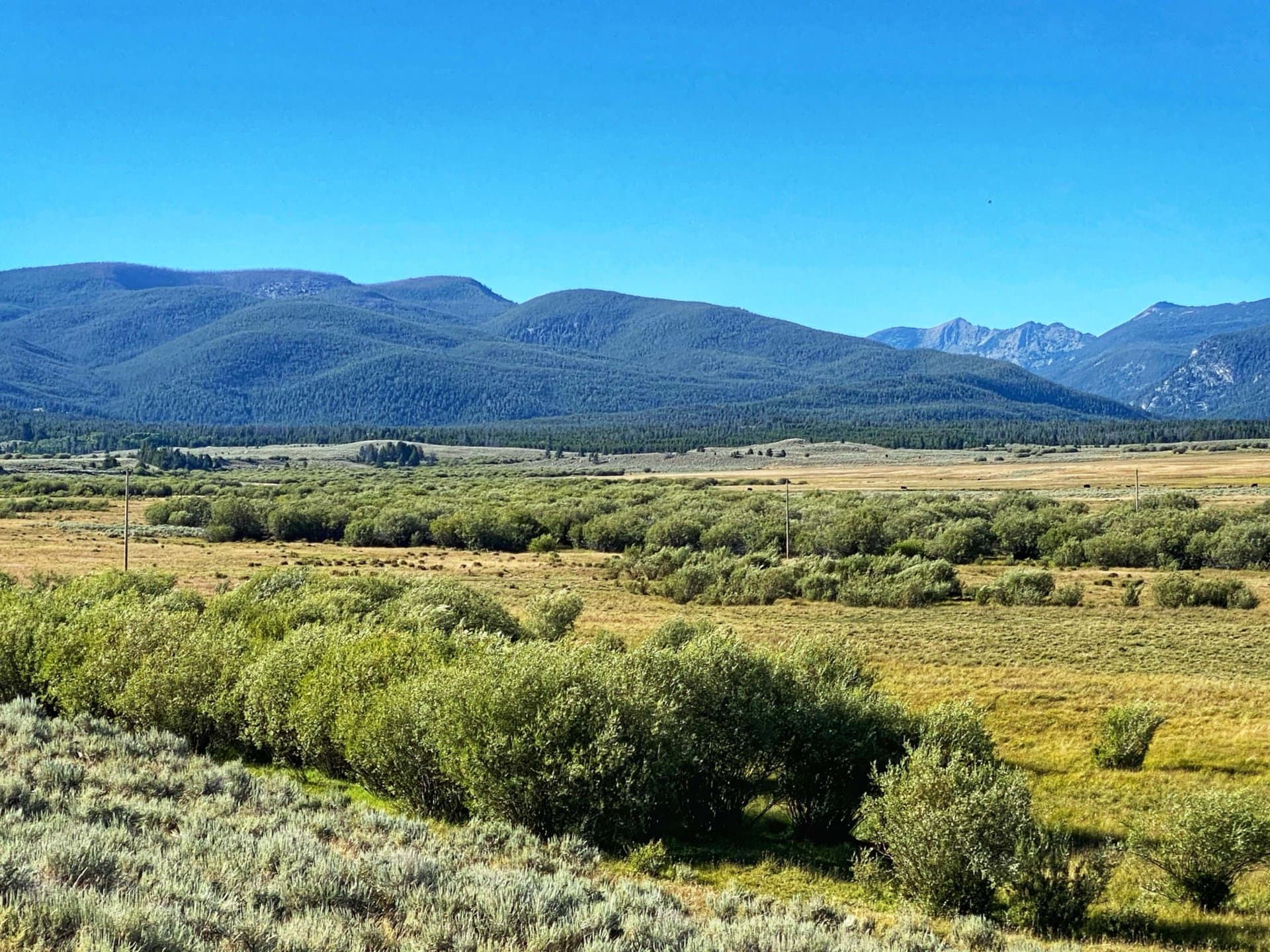 beautiful scenery montana pintler ranch