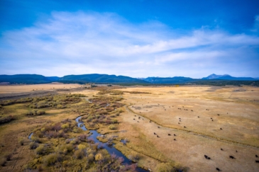 cattle land for sale montana pintler creek ranch