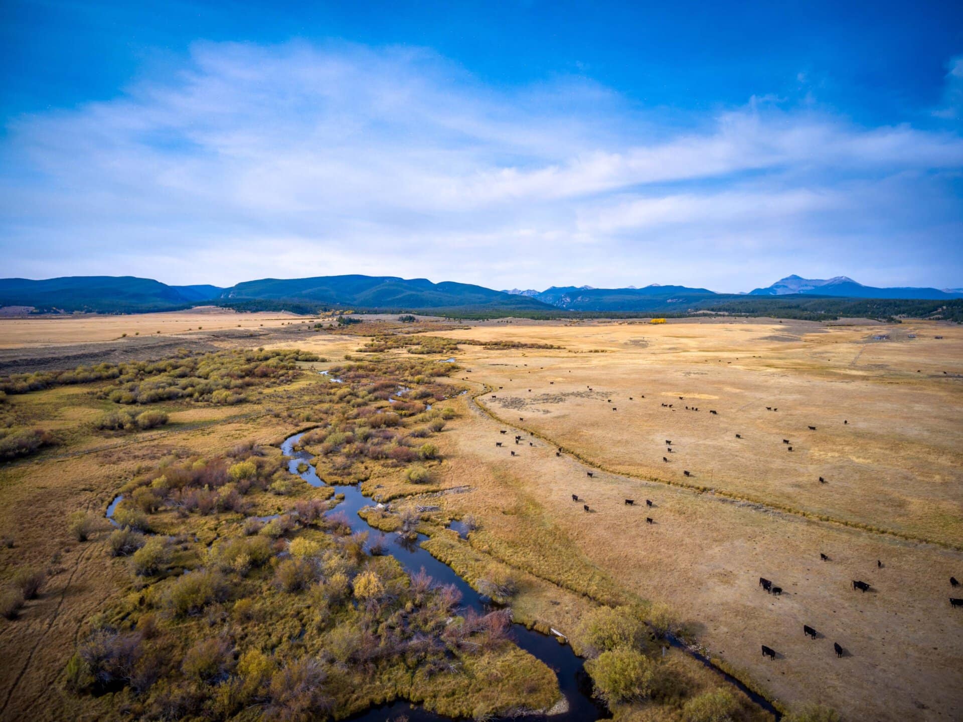 cattle land for sale montana pintler creek ranch