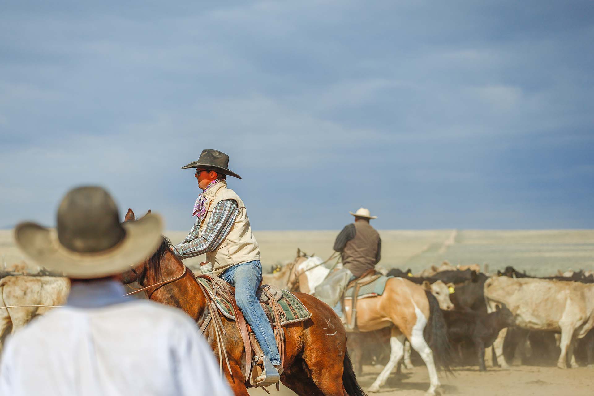 cowboys oregon vance ranch