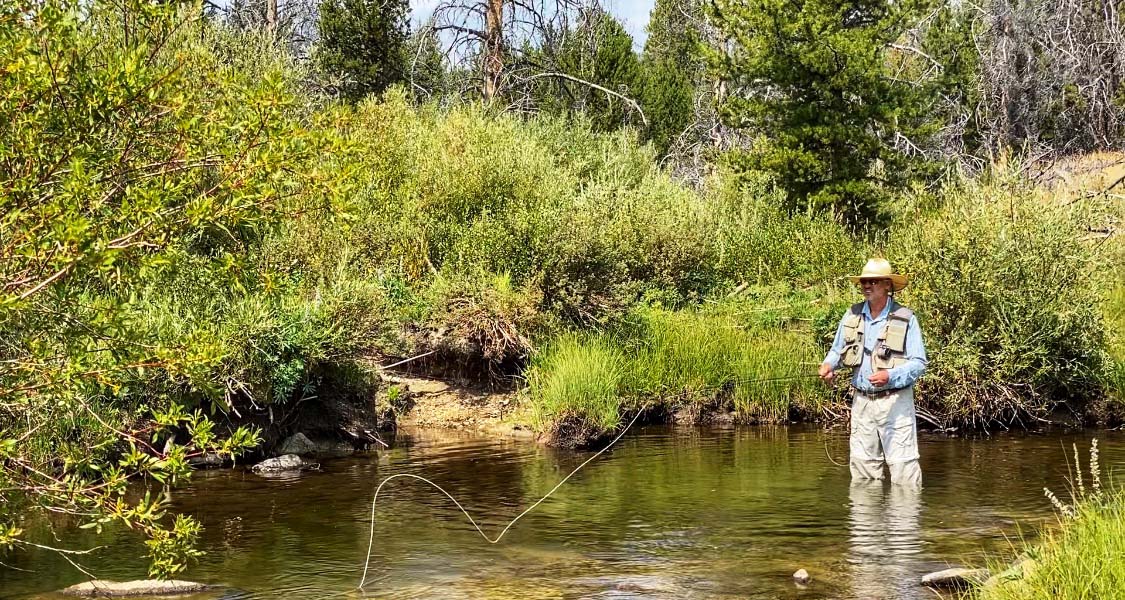 fishing montana pintler creek ranch