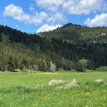 montana ranches for sale puller gulch along rock creek