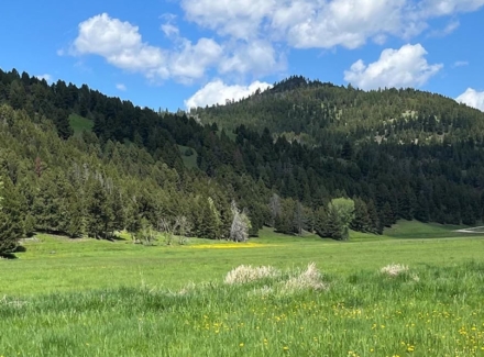 montana ranches for sale puller gulch along rock creek