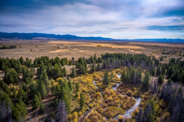 fly fishing montana pintler creek ranch