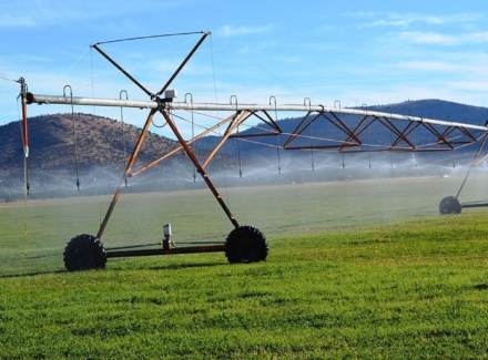 Cover oregon Brasada Pivots