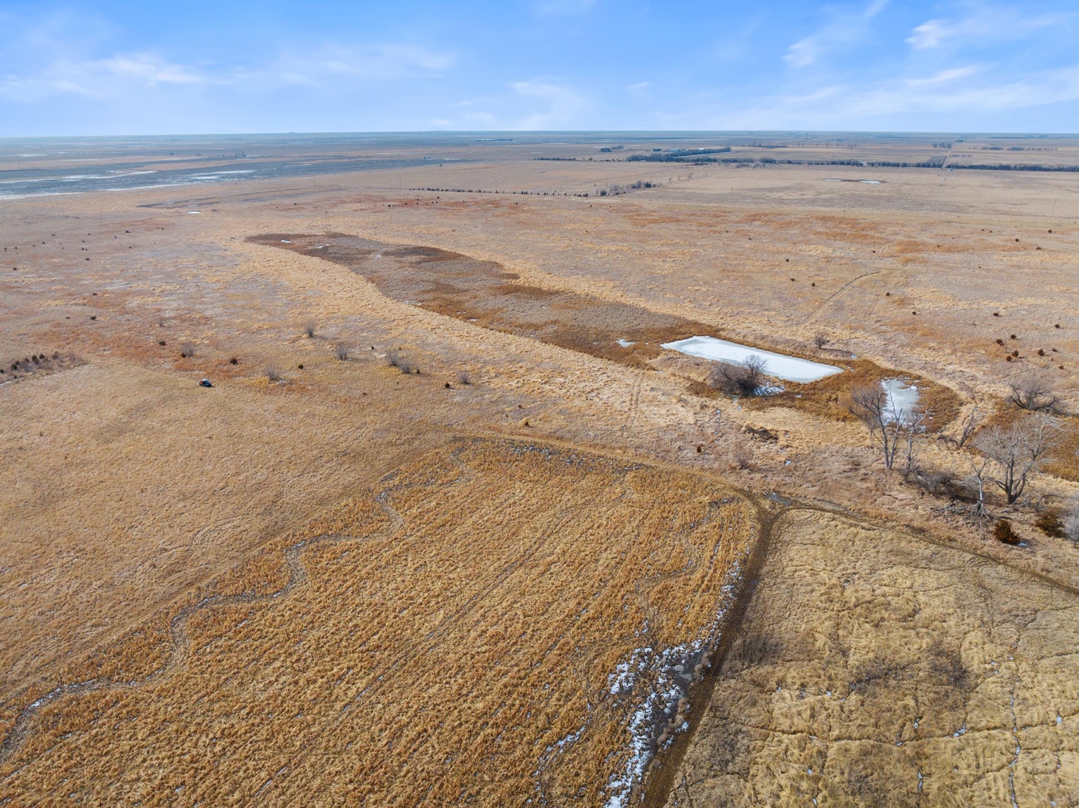 Spink County Rooster Rush Redfield South Dakota Fay Ranches