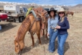 kathi and dixie branding cattle agent idaho washington