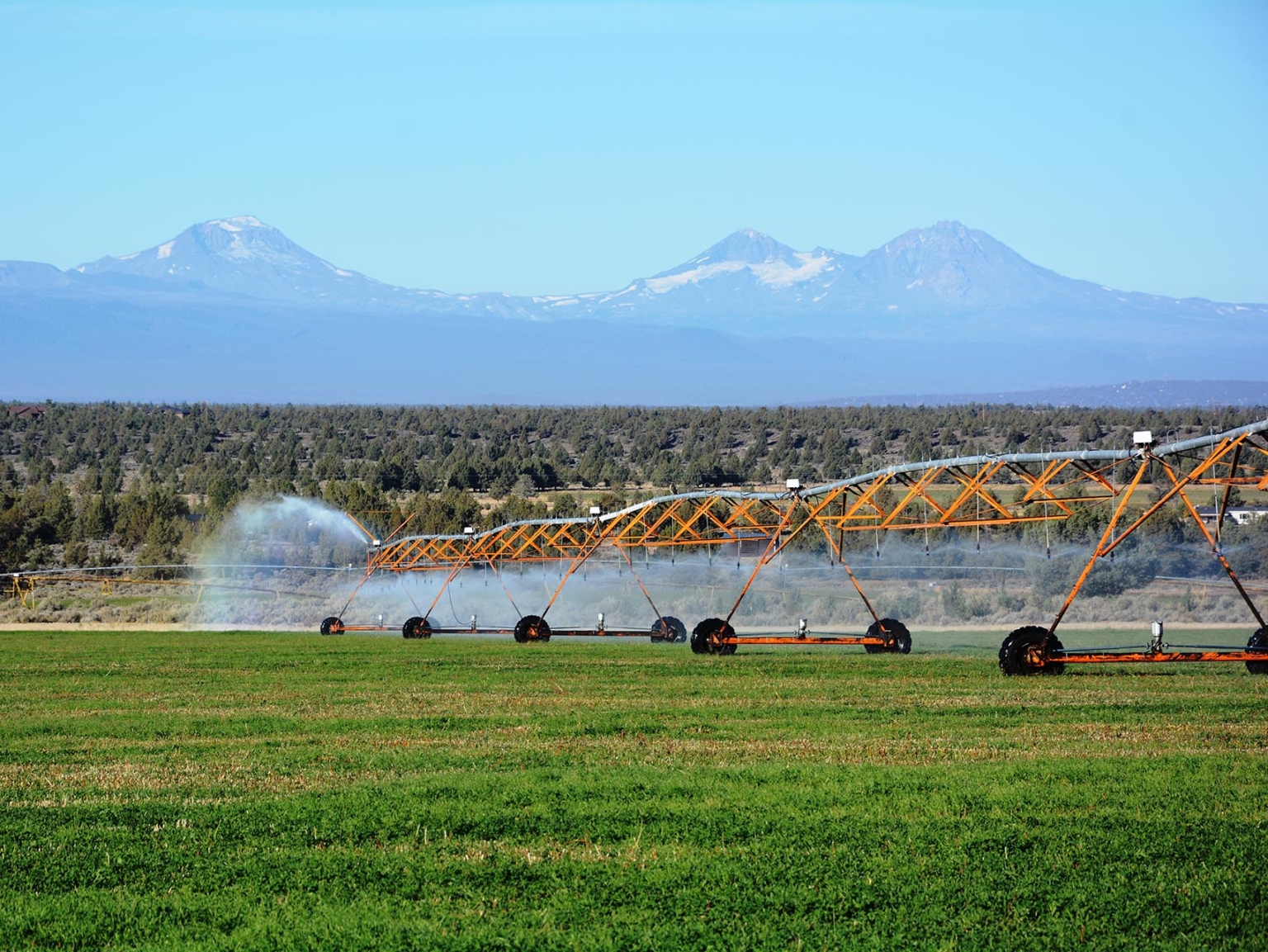 Brasada Pivots | Powell Butte Oregon | Fay Ranches