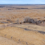 south dakota upland bird hunting property for sale spink county rooster rush