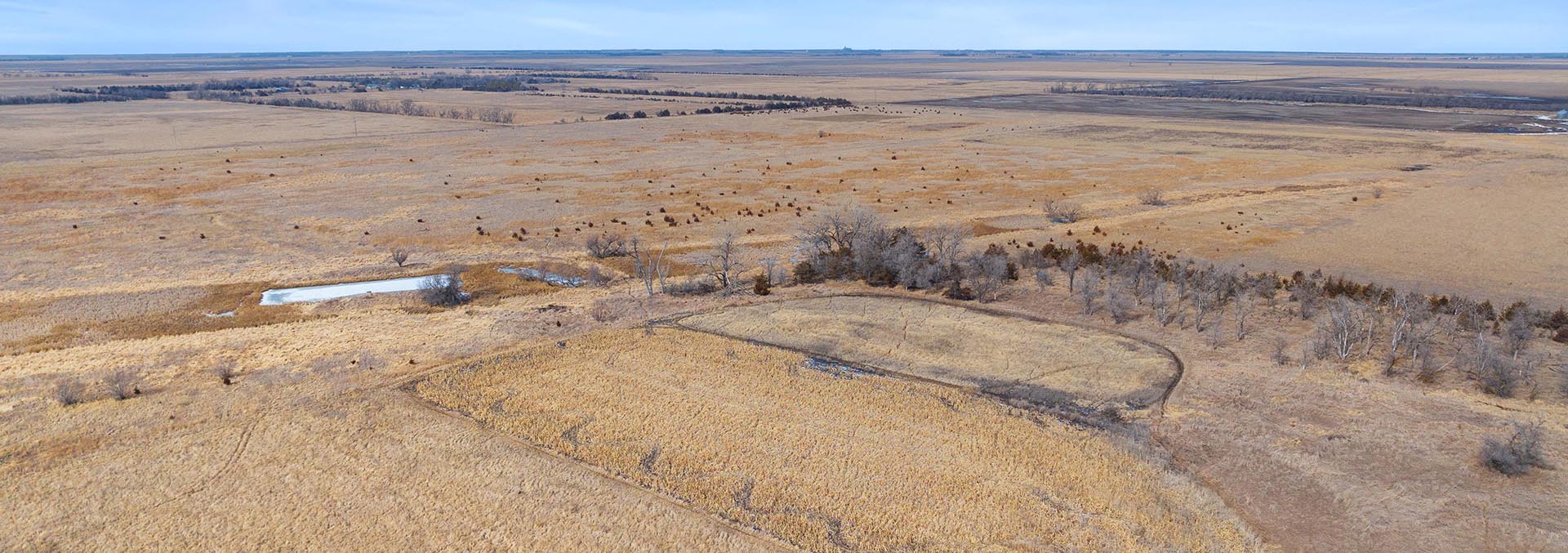 south dakota upland bird hunting property for sale spink county rooster rush