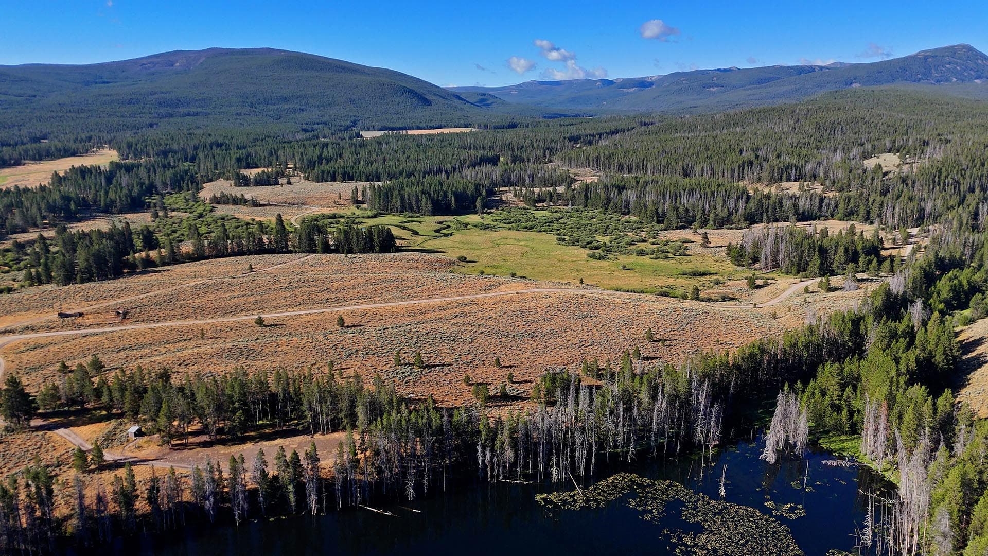 forest valley green meadow montana big hole river ranch