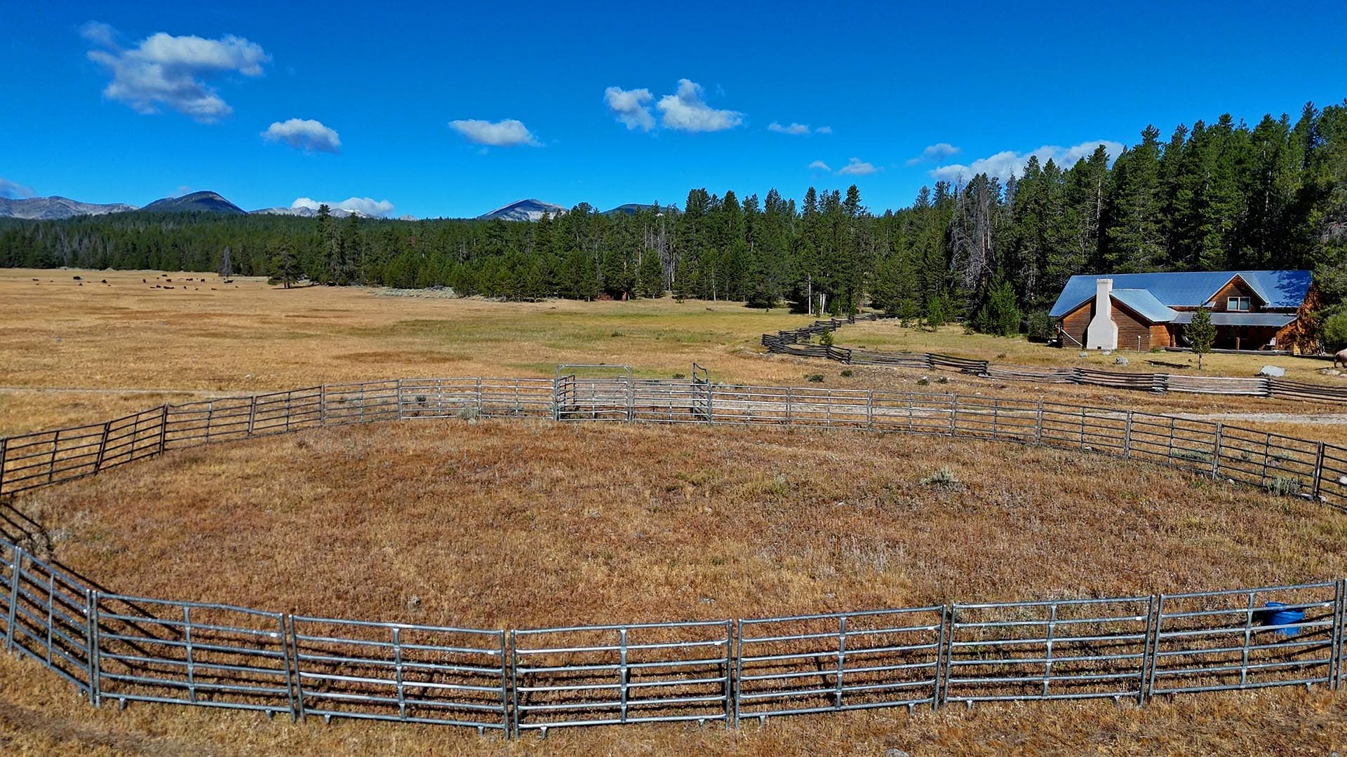 ranch field montana big hole river ranch