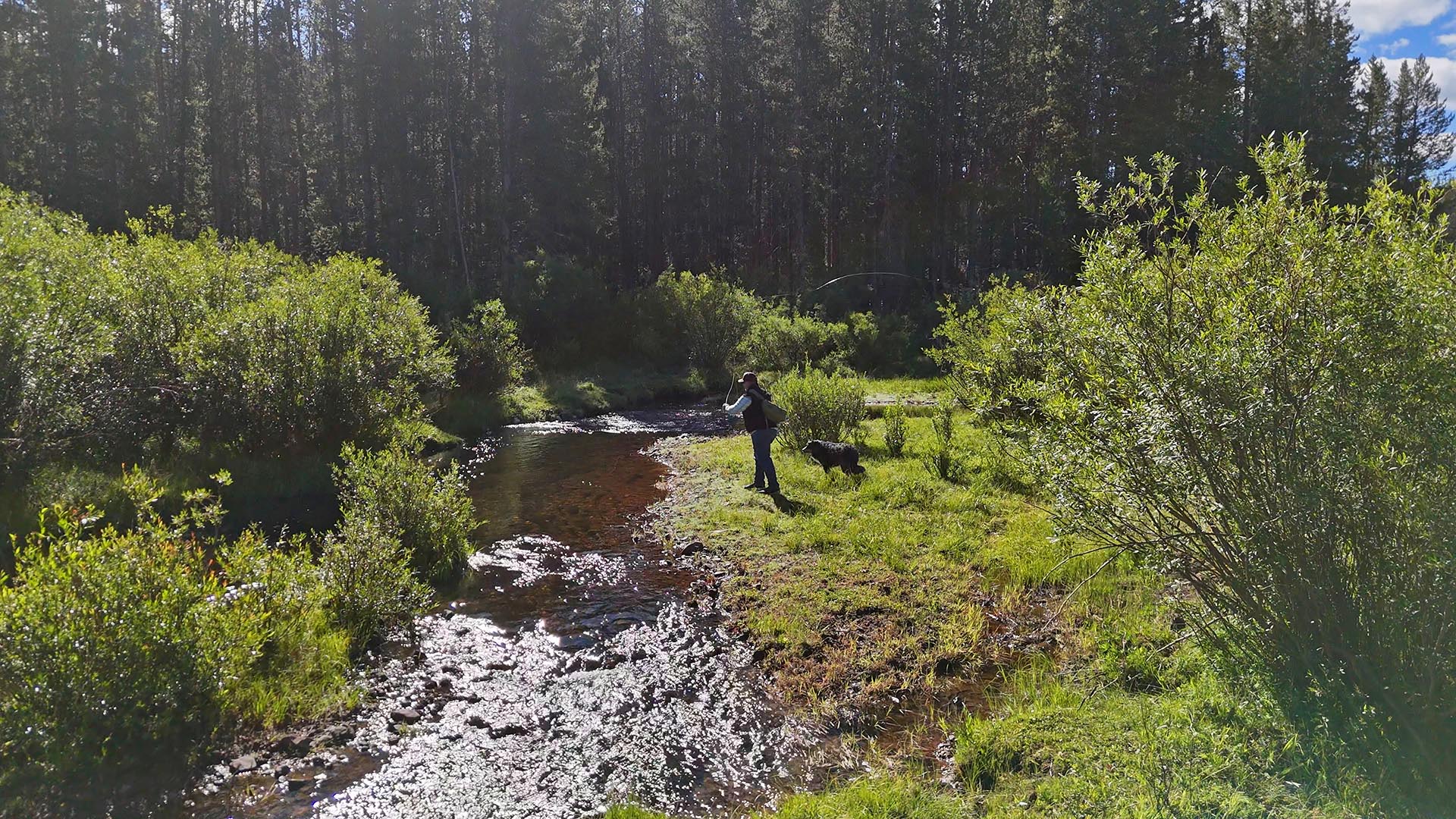 stream fishing montana big hole river ranch