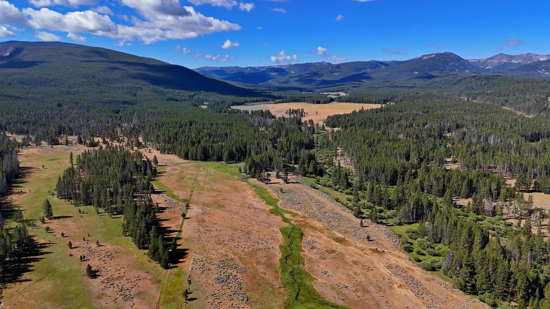 mountainous forest montana big hole river ranch