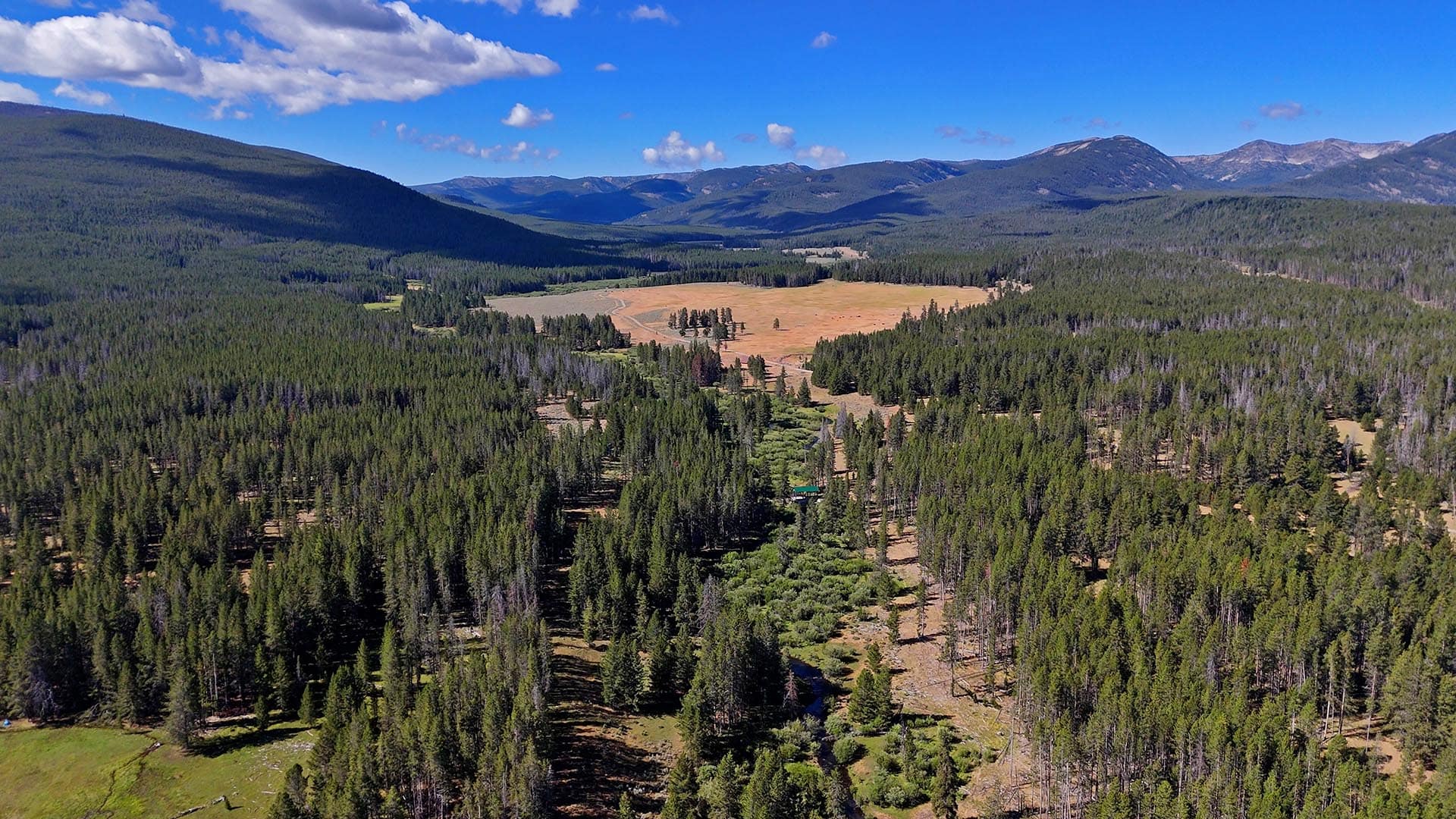 pine forest montana big hole river ranch