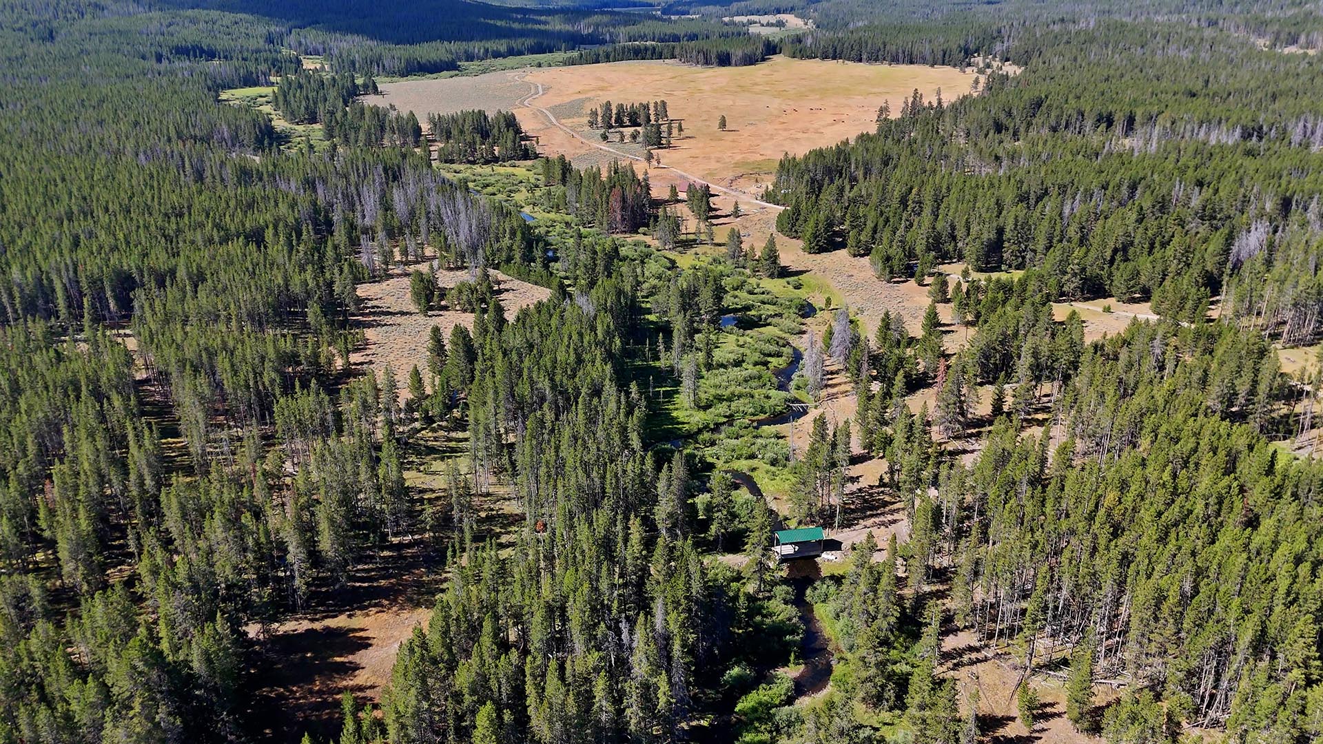 pine forest and meadow montana big hole river ranch
