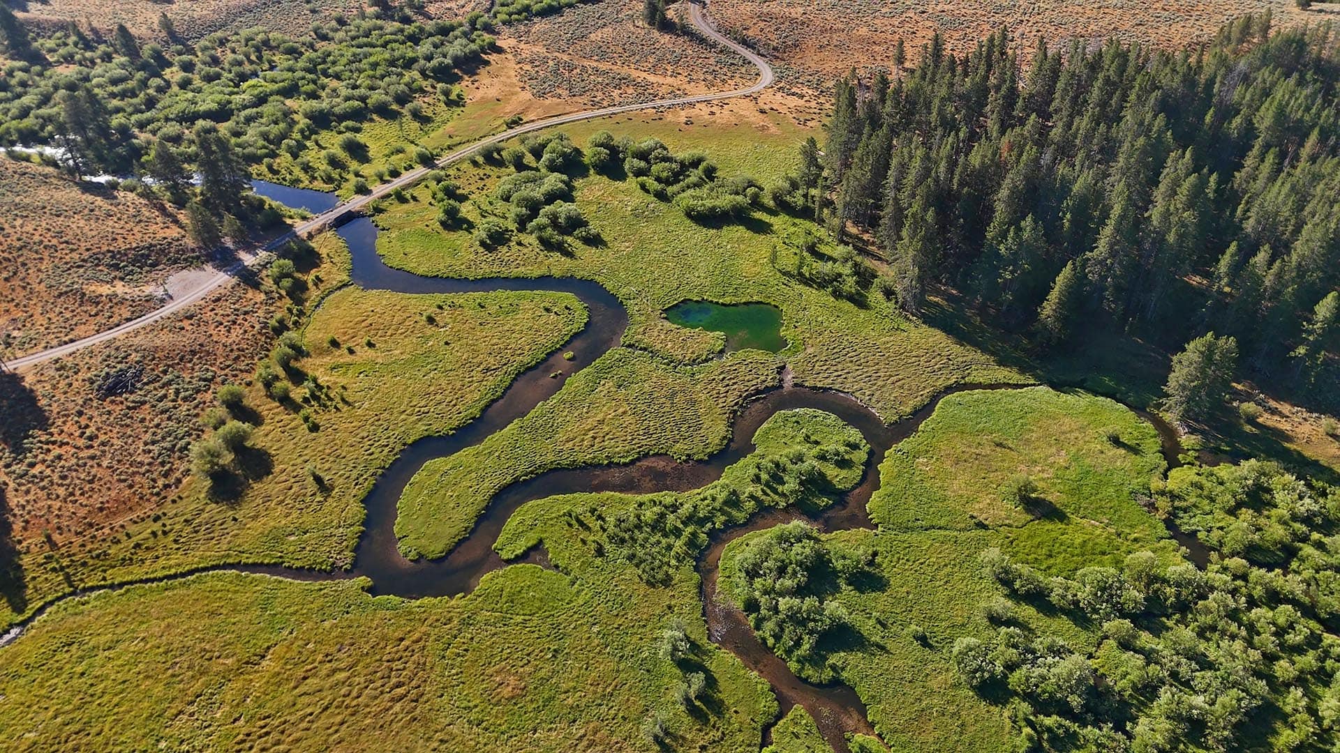 Bird's-eye view of a winding river weaving through green wetlands and grass with a dense forest on the right.